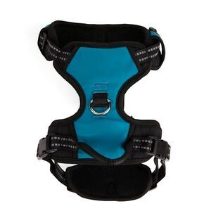 Petco EveryYay Front Walking Reflective Hi-Vis Dog Harness Dark Teal Size Small